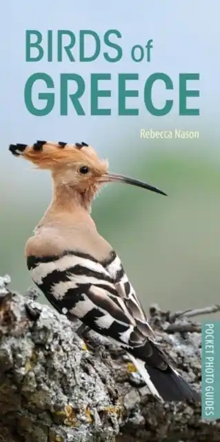 Lage Prijs Vogelgids Pocket Photo Guide Birds of Greece | Bloomsbury (9781472949035)