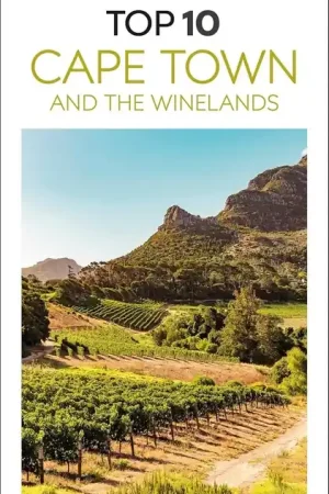 Actieprijs Reisgids Eyewitness Top 10 Cape Town & the Winelands | Dorling Kindersley (9780241721872)