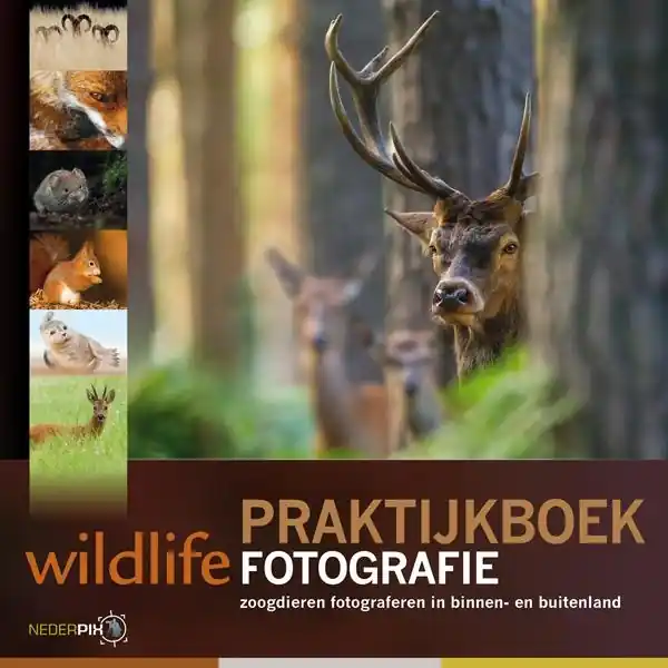 Reisfotografiegids Praktijkboek wildlife fotografie | PIXFactory (9789079588114) Exclusieve Aanbieding