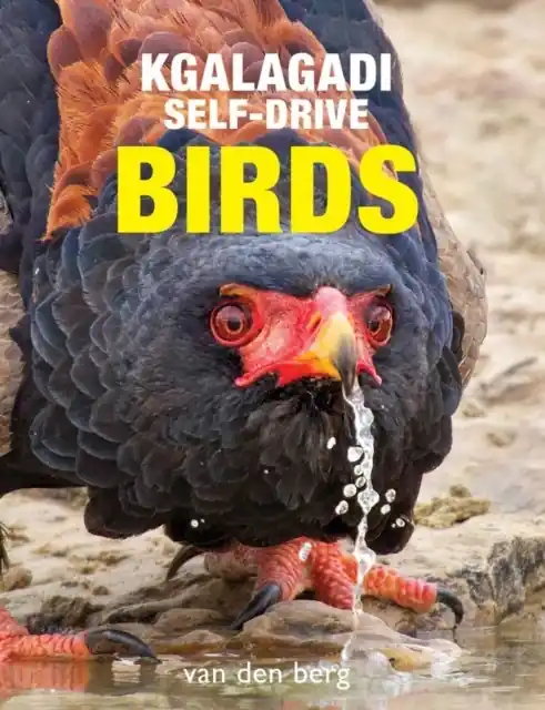 Vogelgids Kgalagadi Self-Drive Birds | HPH Publishing (9781776433261) Beste Prijs