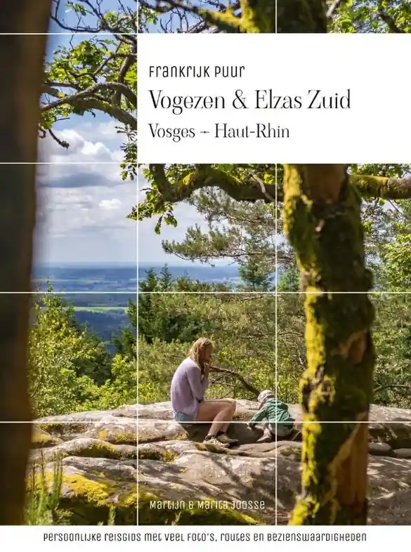 Alleen Vandaag Reisgids Frankrijk Puur Vogezen & Elzas Zuid | Joosse Media (9789083261768)