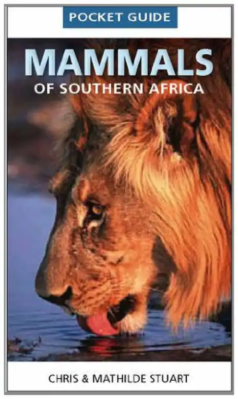 Superprijs Natuurgids The Pocket Guide to Mammals of Southern Africa | Struik Nature (9781770078611)