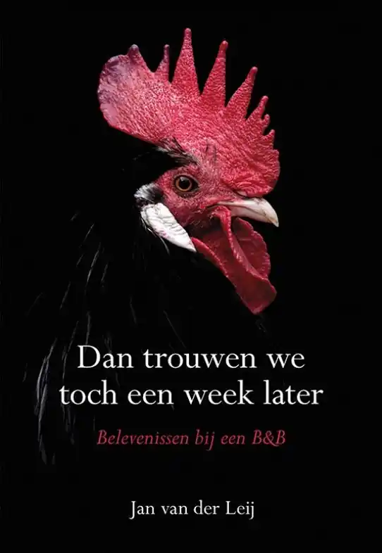 Reisverhaal Dan trouwen we toch een week later | Jan van der Leij (9789463651288) Hoge Kwaliteit