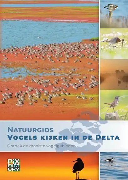 Vogelgids - Natuurgids Vogels kijken in de Delta | PIXFactory (9789079588541) Speciale Aanbieding