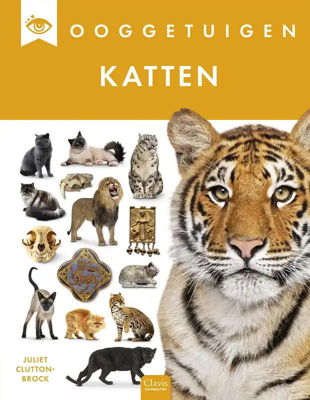 Lage Prijs Ooggetuigen – Katten