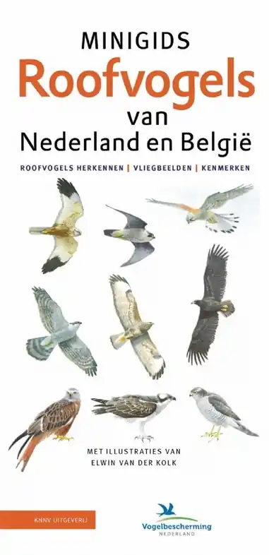 Vogelgids Minigids Roofvogels van Nederland en België | KNNV Uitgeverij (9789050117128) Lage Prijs