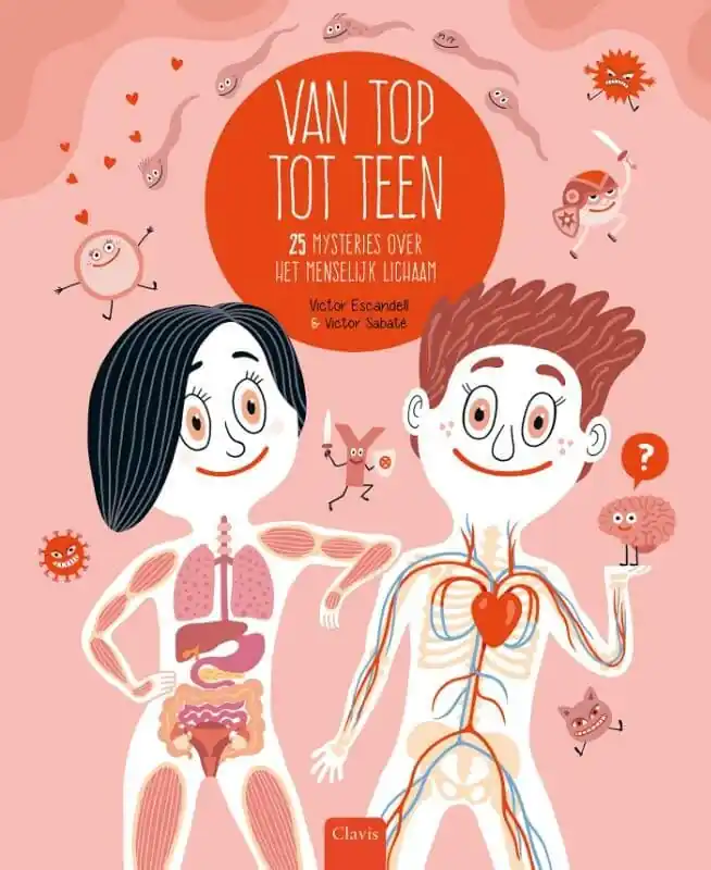Gereduceerde Prijs Van top tot teen