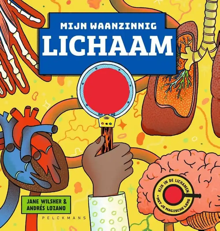Mijn waanzinnig lichaam Rechtstreeks Van De Fabrikant