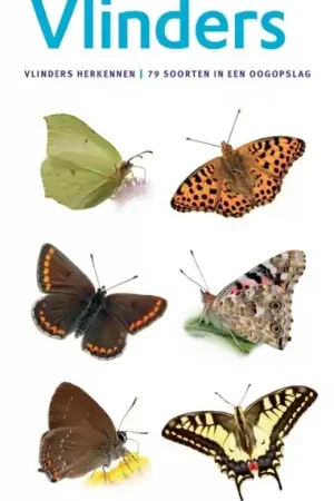 Beste Prijs Natuurgids Minigids Vlinders | KNNV Uitgeverij (9789050117418)