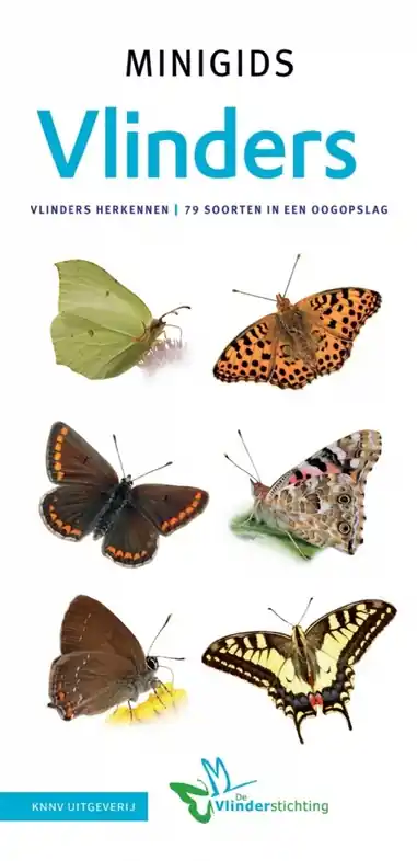 Beste Prijs Natuurgids Minigids Vlinders | KNNV Uitgeverij (9789050117418)