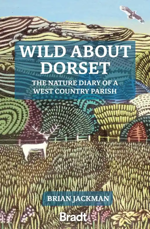 Tijdelijk Beschikbaar Reisverhaal - Natuurgids Wild about Dorset | Brian Jackman (9781804690321)