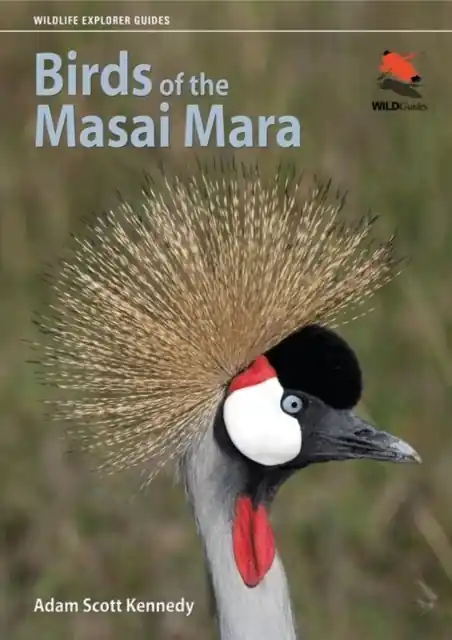 Vogelgids Birds of the Masai Mara | Princeton University Press (9780691155944) Goedkoop
