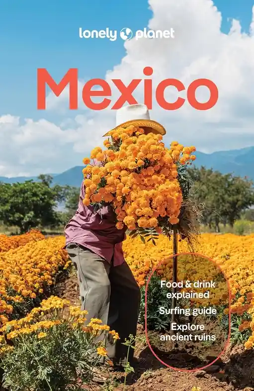 Reisgids Mexico | Lonely Planet (9781837583973) Direct Beschikbaar