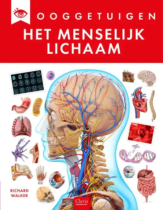 Flitsaanbieding Ooggetuigen – Het menselijk lichaam