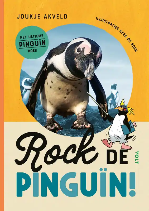 Actieprijs Rock de pinguïn!