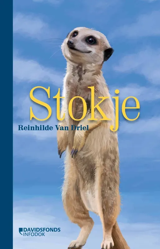 Uitverkoop Stokje
