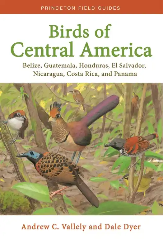 Snelle Levering Vogelgids Birds of Central America | Princeton University Press (9780691138022)