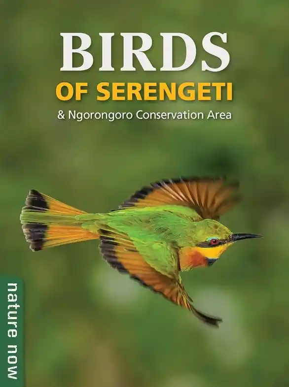 Laatste Kans Vogelgids Birds of Serengeti & Ngorongoro Conservation Area | Struik Nature (9781775848851)