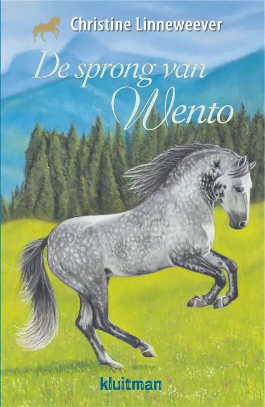 Exclusieve Aanbieding De sprong van Wento