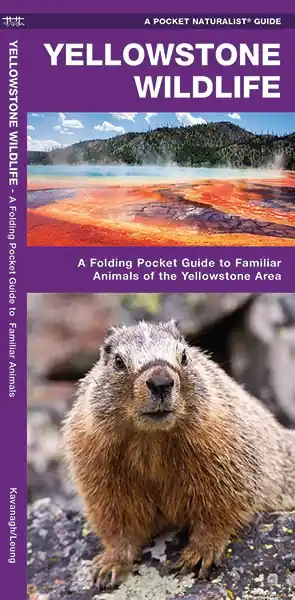 Natuurgids - Vogelgids Yellowstone Wildlife | Waterford Press (9781583553169) Koop Online