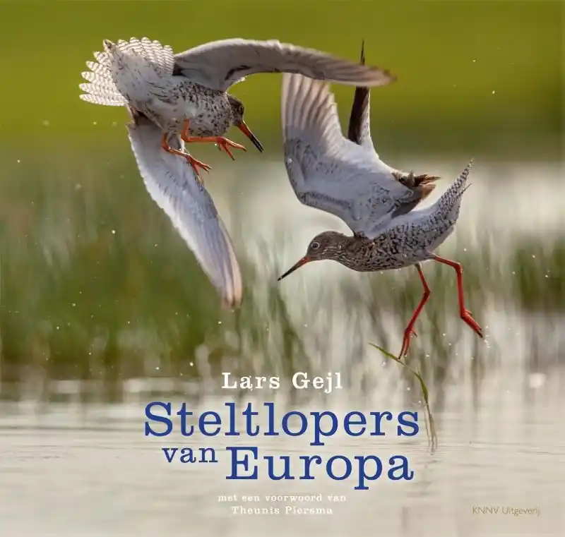 Vogelgids - Natuurgids Steltlopers van Europa | KNNV Uitgeverij (9789050115711) Uitverkoop