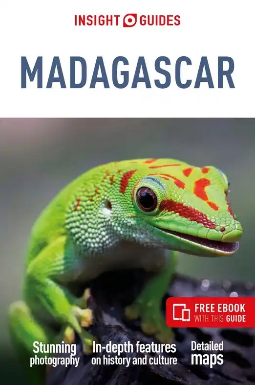 Aanbieding Reisgids Madagascar | Insight Guides (9781839053979)