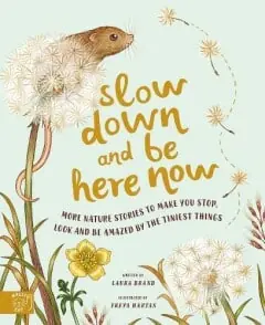 Slow down and be here now Rechtstreeks Van De Fabrikant