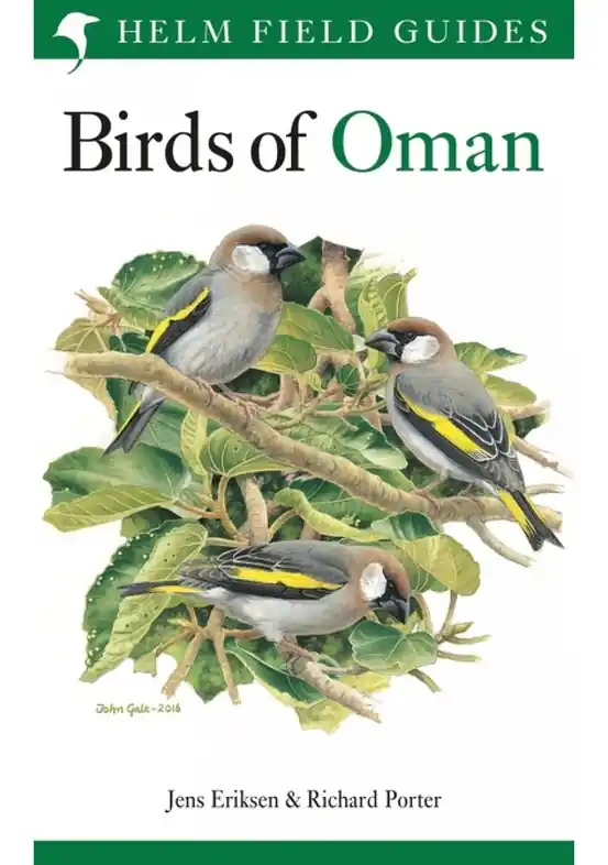 Vogelgids Birds of Oman | Bloomsbury (9781472937537) Exclusieve Aanbieding