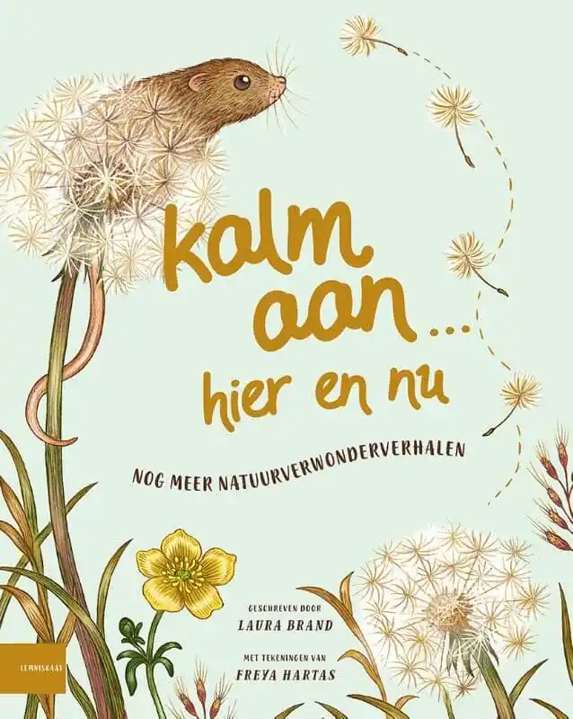 Kalm aan… Hier en nu Beperkt Aanbod