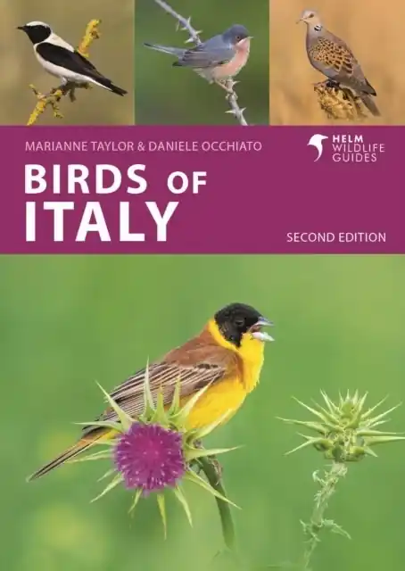 Vogelgids Pocket Photo Guide Birds of Italy | Bloomsbury (9781399410649) Seizoensaanbieding