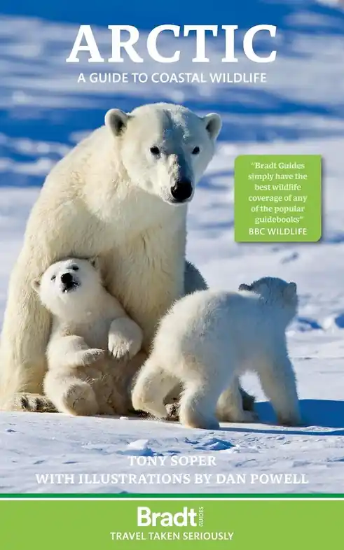 Fabrieksprijs Natuurgids The Arctic | Bradt Travel Guides (9781804693414)
