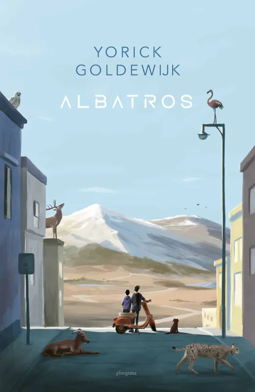 Albatros Goedkoop