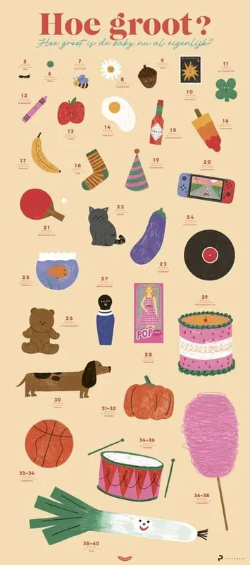 Tijdelijk Beschikbaar Poster – Babygroeiposter