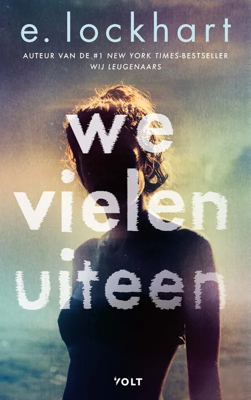 We vielen uiteen Rechtstreeks Van De Fabrikant