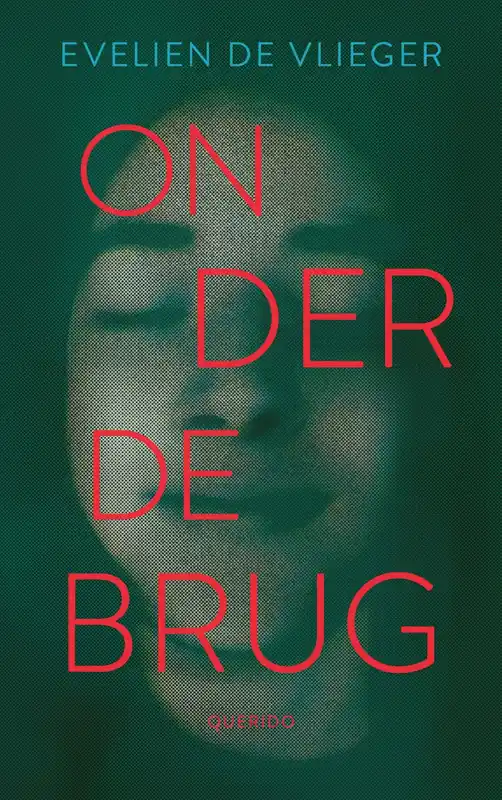 Onder de brug Dagaanbieding