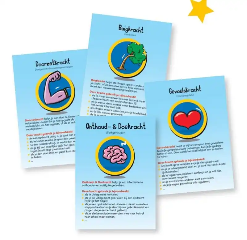 Snelle Levering Breinhelden Doelenkaarten breinkrachten