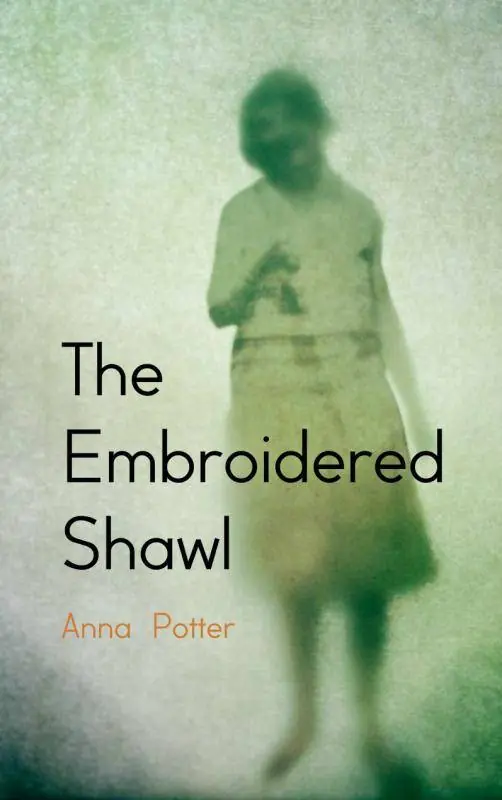 Lage Kosten The embroidered shawl / 2nd Edition