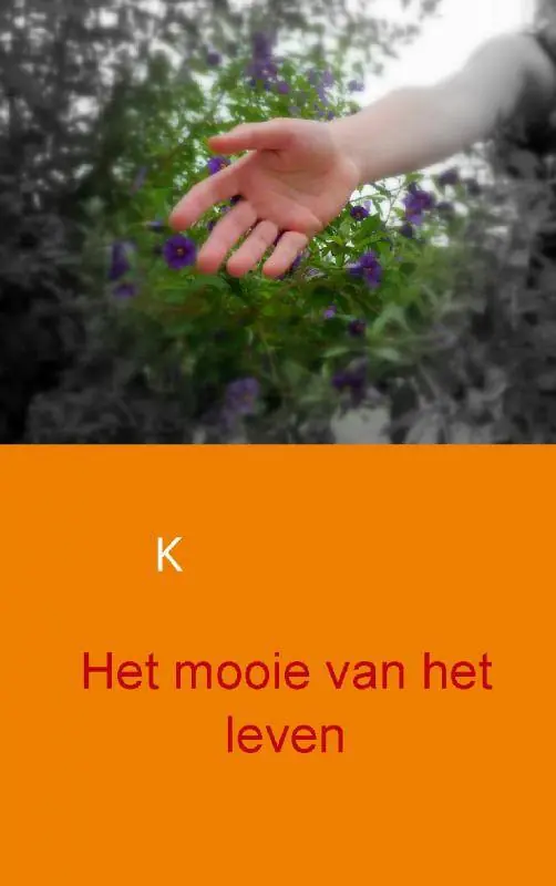 Het mooie van het leven / Druk 1 Bestel Nu