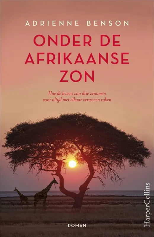 Onder de Afrikaanse zon / Druk 1 Gecertificeerd