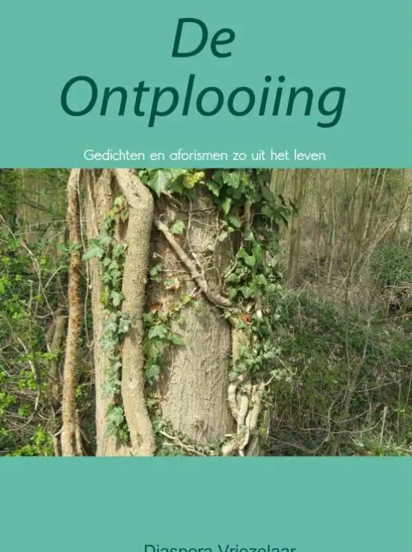 Rechtstreeks Van De Fabrikant De ontplooiing / Druk 1