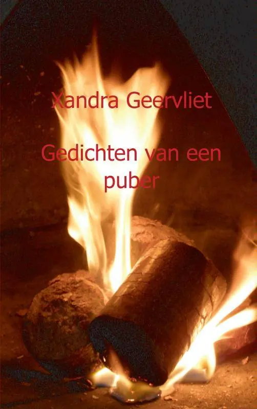 Premium Gedichten van een puber / Druk 1