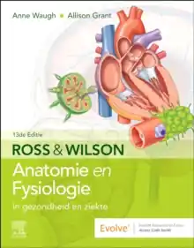 Premium Anatomie en Fysiologie in gezondheid en ziekte / Druk 13