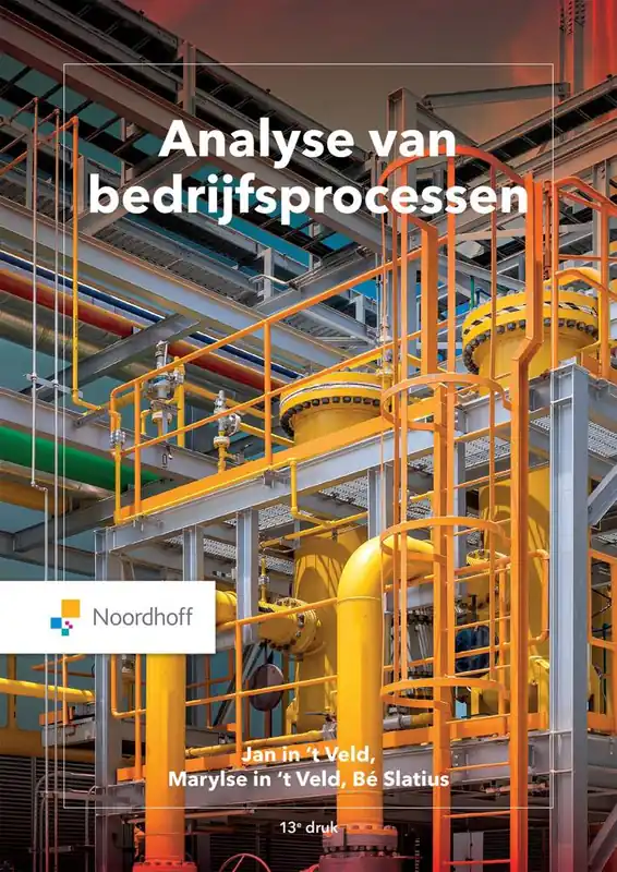 Analyse van bedrijfsprocessen / Druk 13 Flitsaanbieding