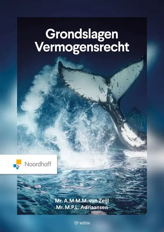Grondslagen Vermogensrecht / Druk 13 Superprijs