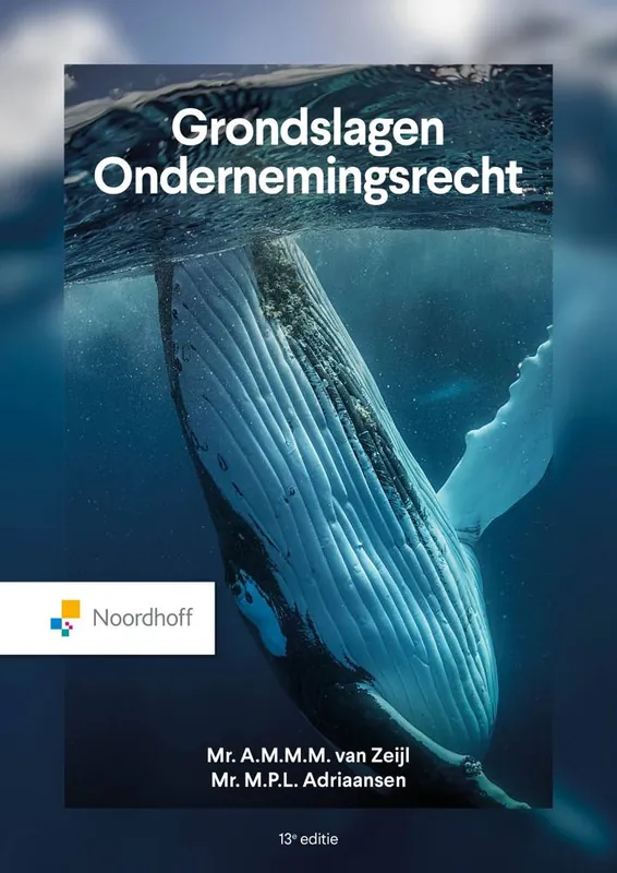 Shop Nu Grondslagen Ondernemingsrecht / Druk 13