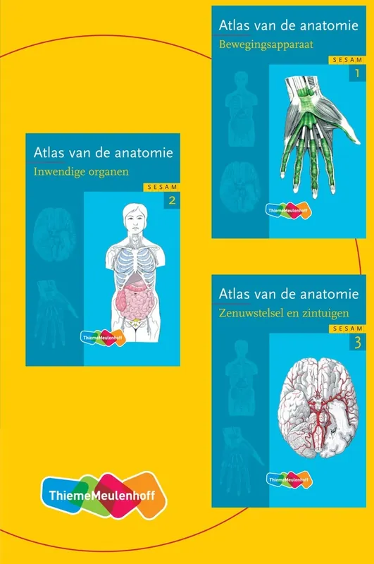 Meest Verkocht Atlas van de anatomie delen 1, 2, 3 in cassette / Druk 2