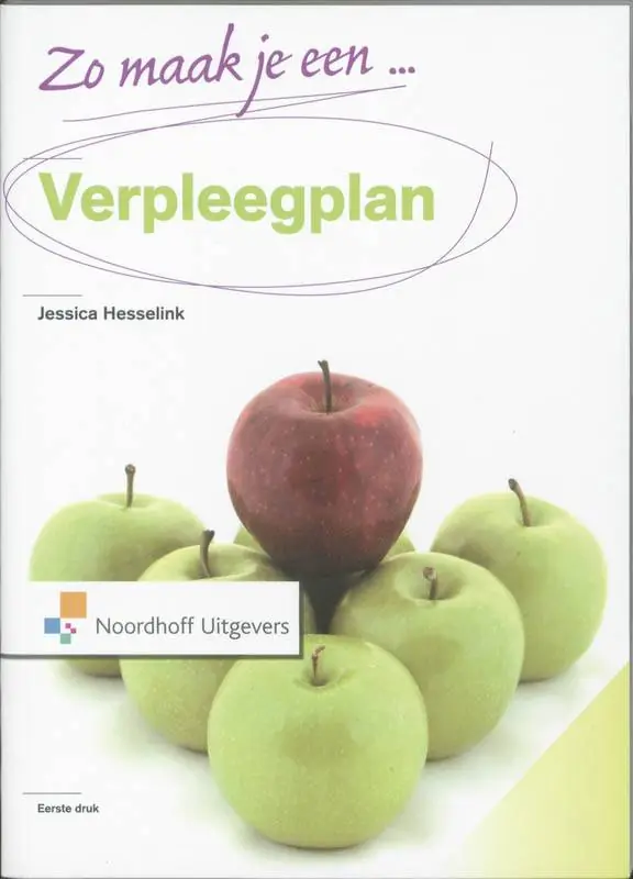 Koop Vandaag Zo maak je een verpleegplan!