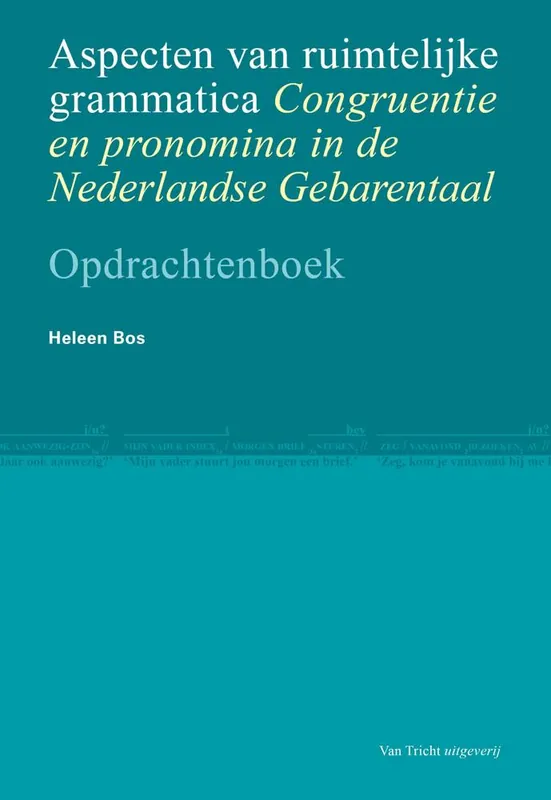 Aspecten van ruimtelijke grammatica / Druk 1 Shop Nu