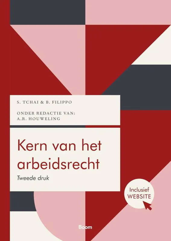 Kern van het arbeidsrecht / Druk 2 Koopje