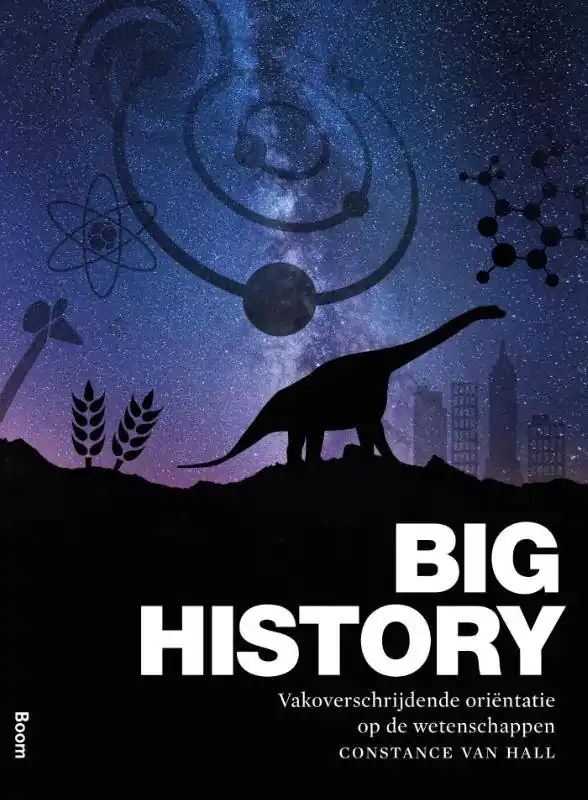 Koop Online Big History - Vakoverschrijdende oriëntatie op de wetenschappen